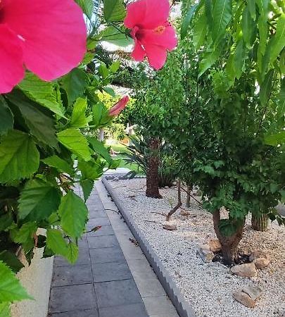Estudio De Lujo Torrevieja Eksteriør billede