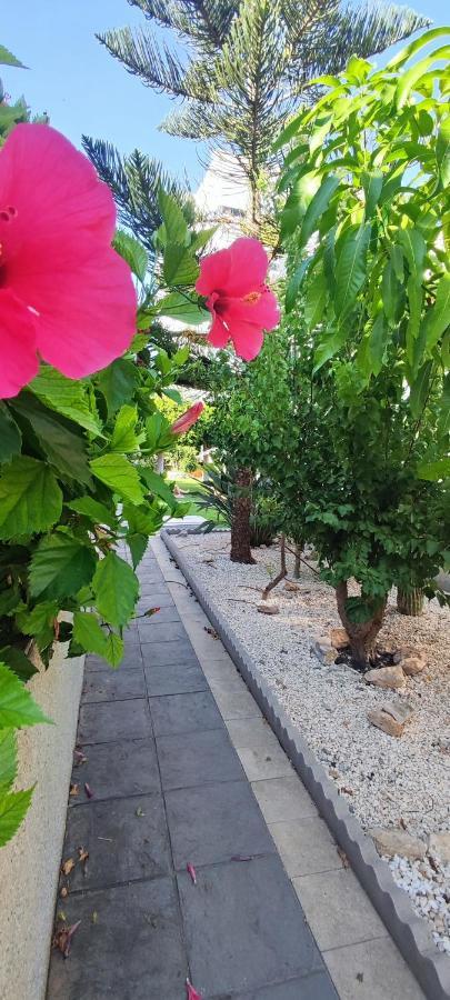 Estudio De Lujo Torrevieja Eksteriør billede